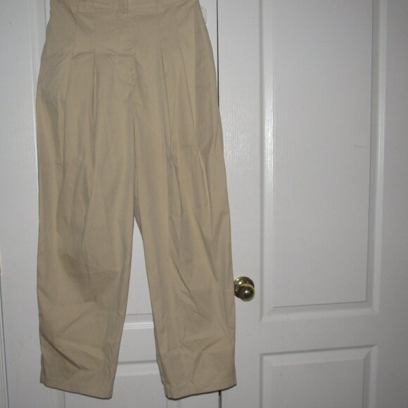 Nicole Williams English x Bar IIII Pleated Wide Leg Relaxed Tan Pants Size 6 - Picture 1 of 5
